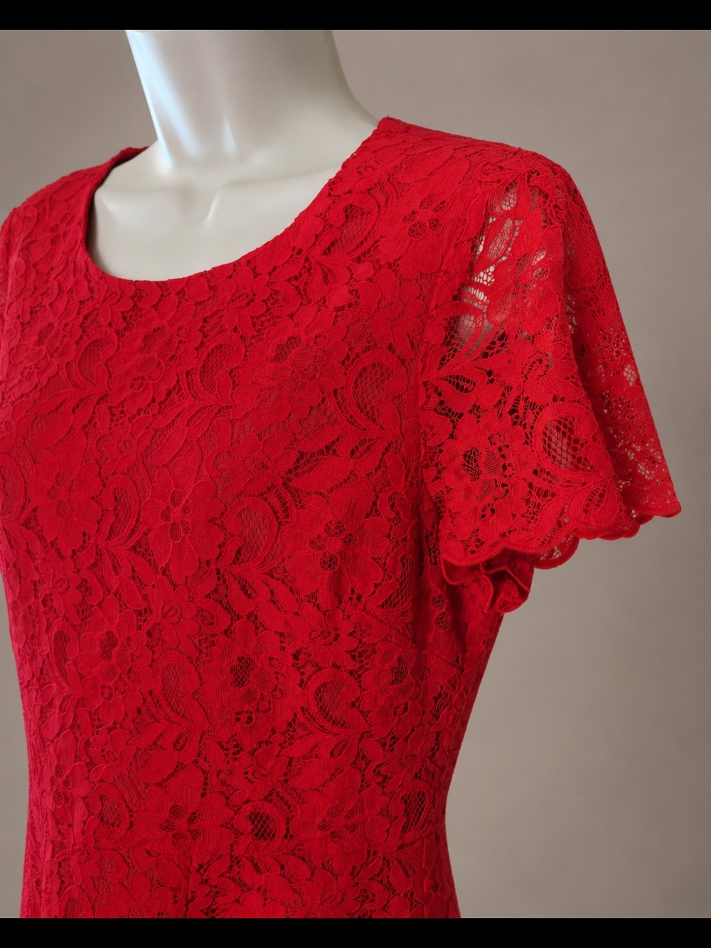 J. Crew Womens Red Lace Short Sleeve Fit-and-Flare Formal Mini Dress Size 6 - Picture 2 of 9